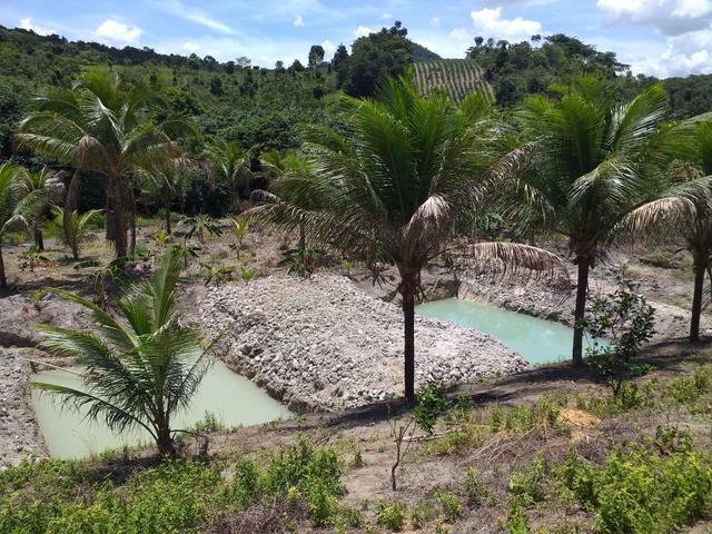 Sítio dos sonhos seu pedaço do Paraíso com 7 hectares por 150 mil - Foto 19