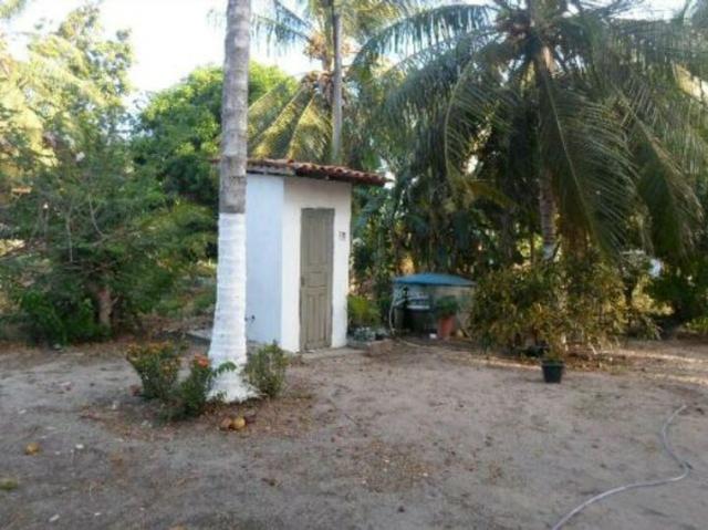Vendo Chacara no cumbique por R$ 85 mil reais - Foto 9