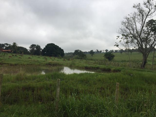 25 Alqueires-Avelinópolis Goiás-Próx. Goiânia-Excelente Preço R$ 150.000,00 o Alqueire - Foto 3
