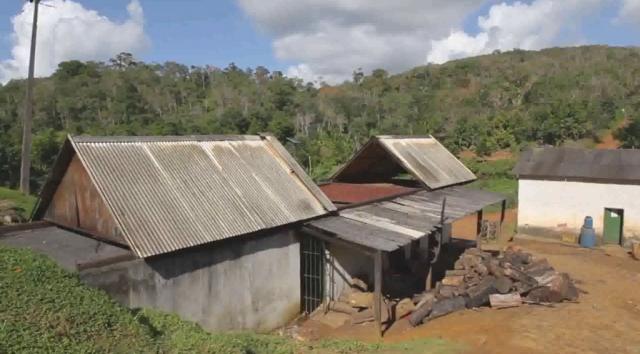 Fazenda de Cacau, Látex e Mogno no Brasil - Cidade Ituberá-BA - Foto 4