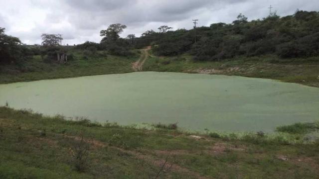 Excelente Fazenda em Feira de Santana-BA - Foto 6
