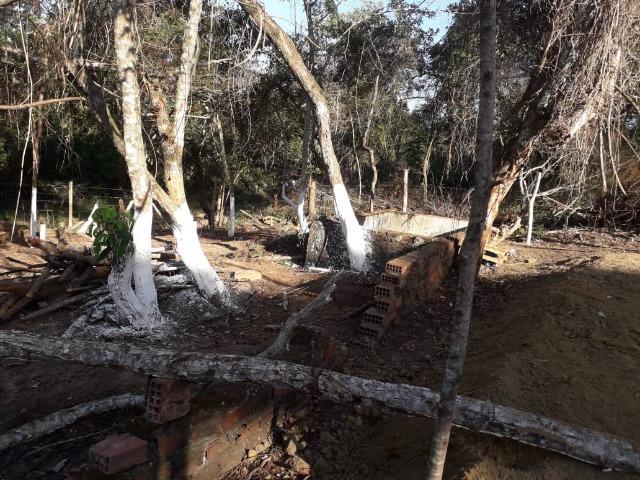 Terreno em Pindobal - Bambuí - Maricá - Foto 7