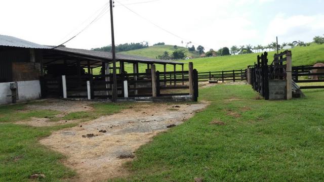 Sítio otima topografia com 10 A|lqueires - Bairro Pouso Alegre - Foto 10