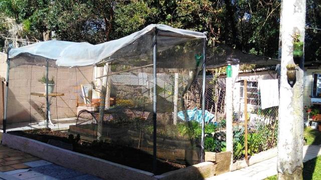 Casa à venda com 2 dormitórios em Santa terezinha, Garibaldi cod:9904302 - Foto 14