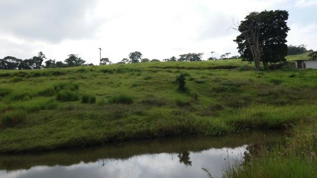 Sítio otima topografia com 10 A|lqueires - Bairro Pouso Alegre - Foto 17