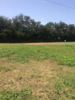 Granja-Chácara-Sítio 1,6 Hectares em Olinda, Aceito Automóvel ou imóvel - Foto 6
