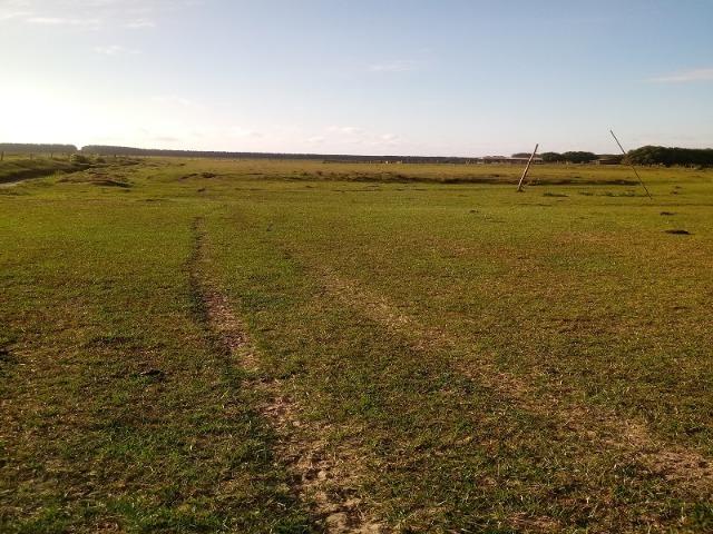 Bela Fazenda - Foto 6