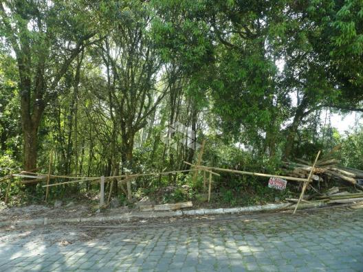 Terreno à venda em Santo antão, Bento gonçalves cod:9908551 - Foto 4