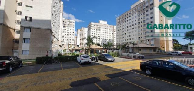 Apartamento para alugar com 3 dormitórios em Pinheirinho, Curitiba cod:00261.005 - Foto 20
