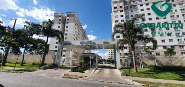 Apartamento para alugar com 3 dormitórios em Pinheirinho, Curitiba cod:00261.005 - Foto 13