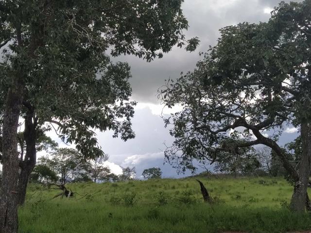Linda chácara em Bela Vista de Goiás - Foto 3