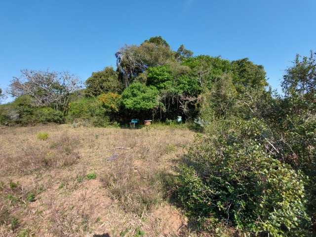 Velleda oferece 7 hectares completo, casa, galpão, açude, campo, ac. troca - Foto 4