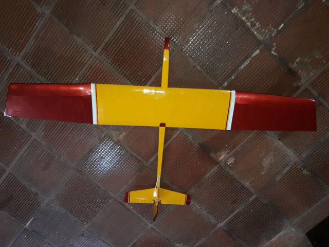 Aeromodelo planador Selig. Flyincircus. - Foto 2
