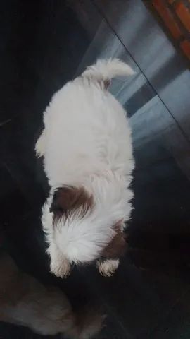 Vende-se  - Foto 3