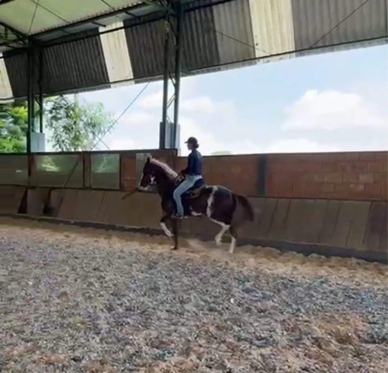 Cavalo mangalarga 4 anos adestrado  - Foto 5