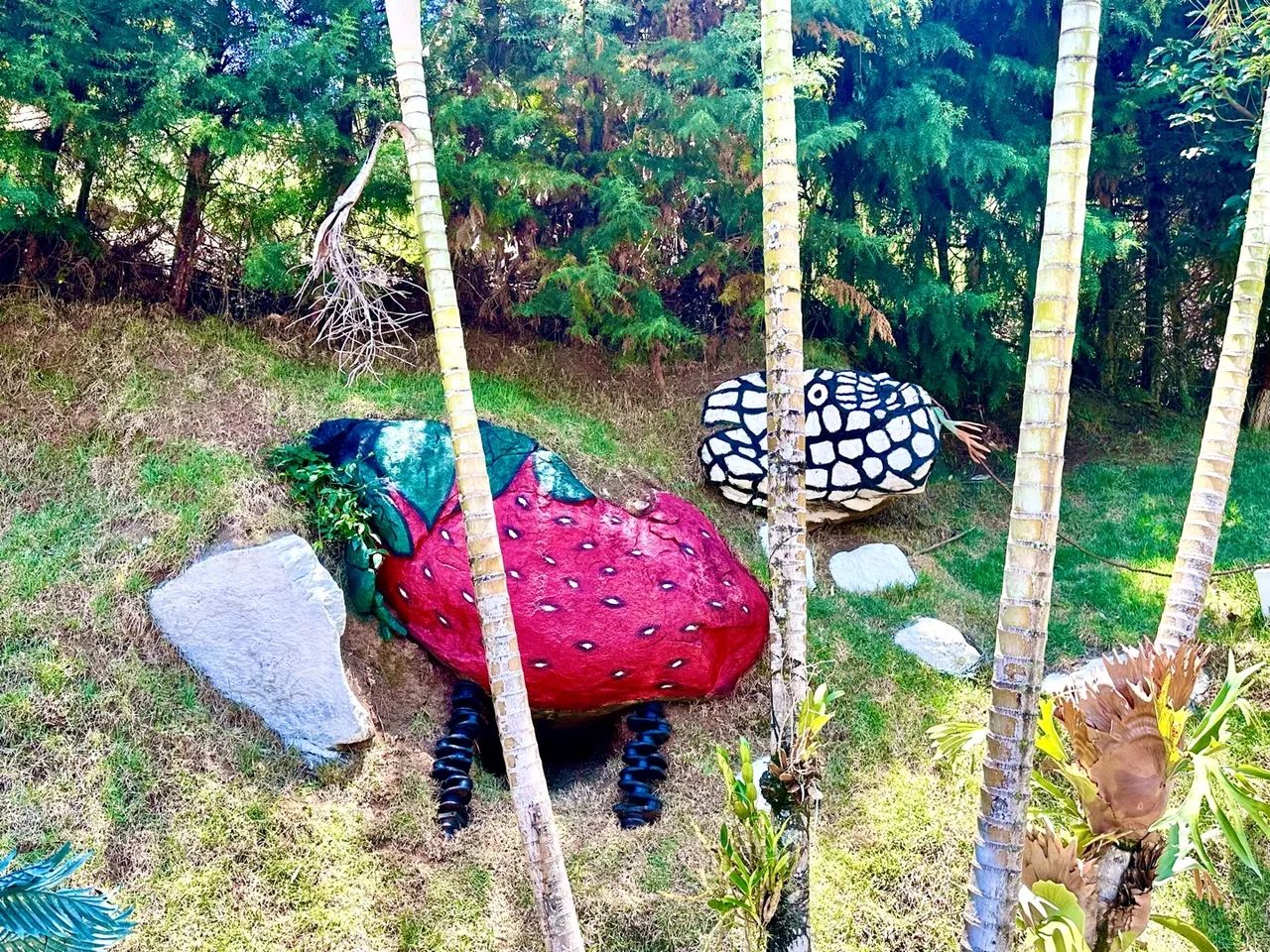 CASA POUSADA VENDA NOVA DO IMIGRANTE! PERTO DE PEDRA AZUL - Foto 10