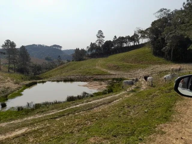 Sítio 24,7 Hectares, açude, riacho, pastagem - 4ª Linha, Angelina 