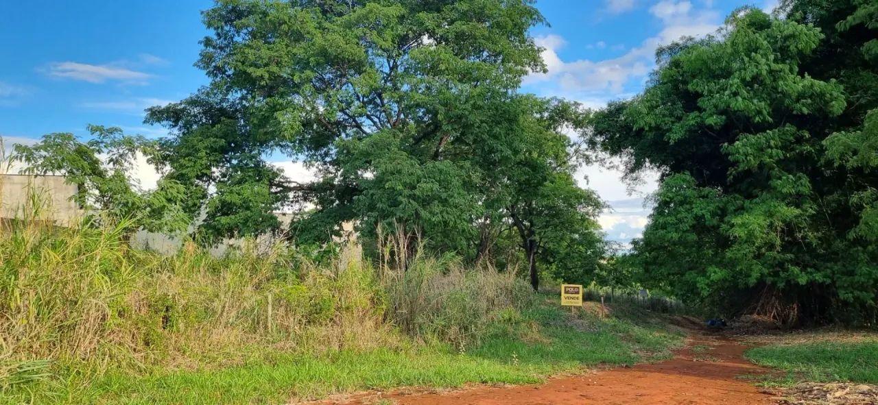 Terreno à venda, 798 m² por R$ 515.000 - Setor Jaó - Foto 7