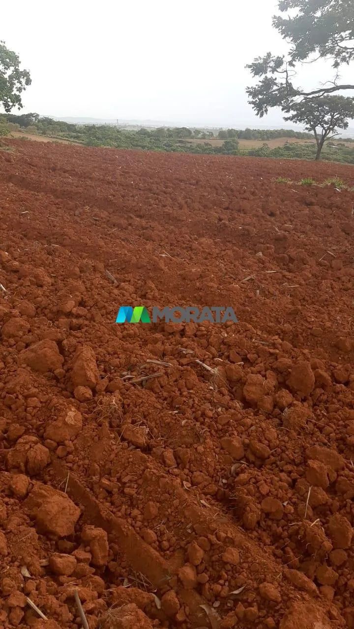 FAZENDA Á VENDA - 100 HECTARES - ARCOS (MG) - Foto 4