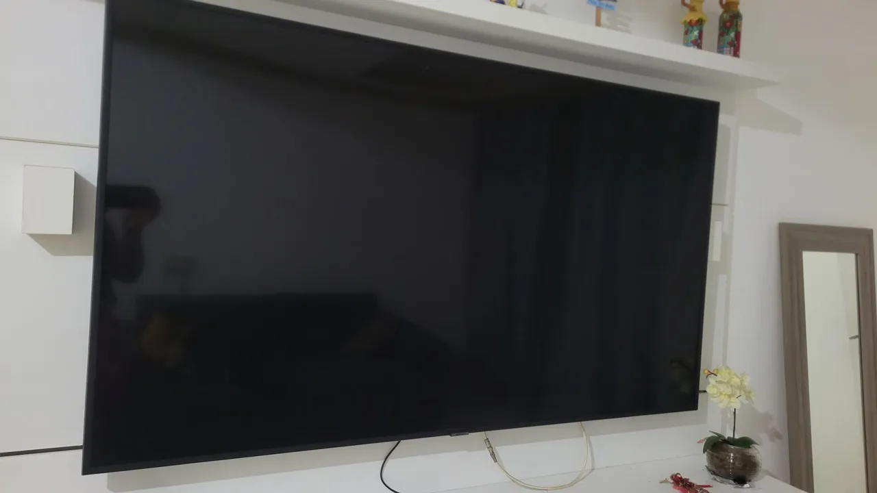 Tv 65