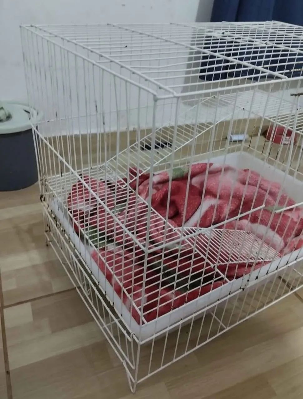 Gaiola para Roedores