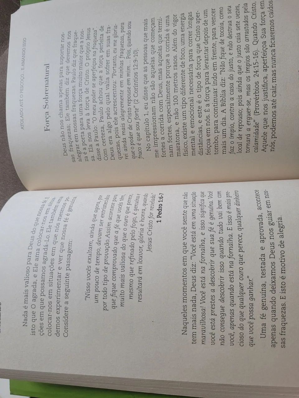 Livro Enraizado - Foto 5