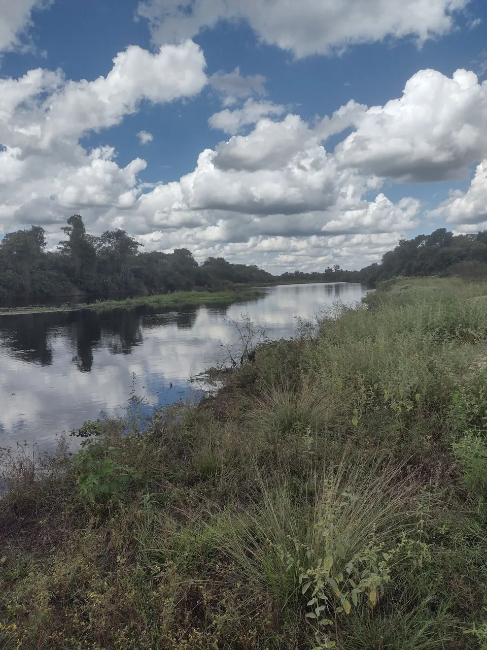 Fazenda para Garantia