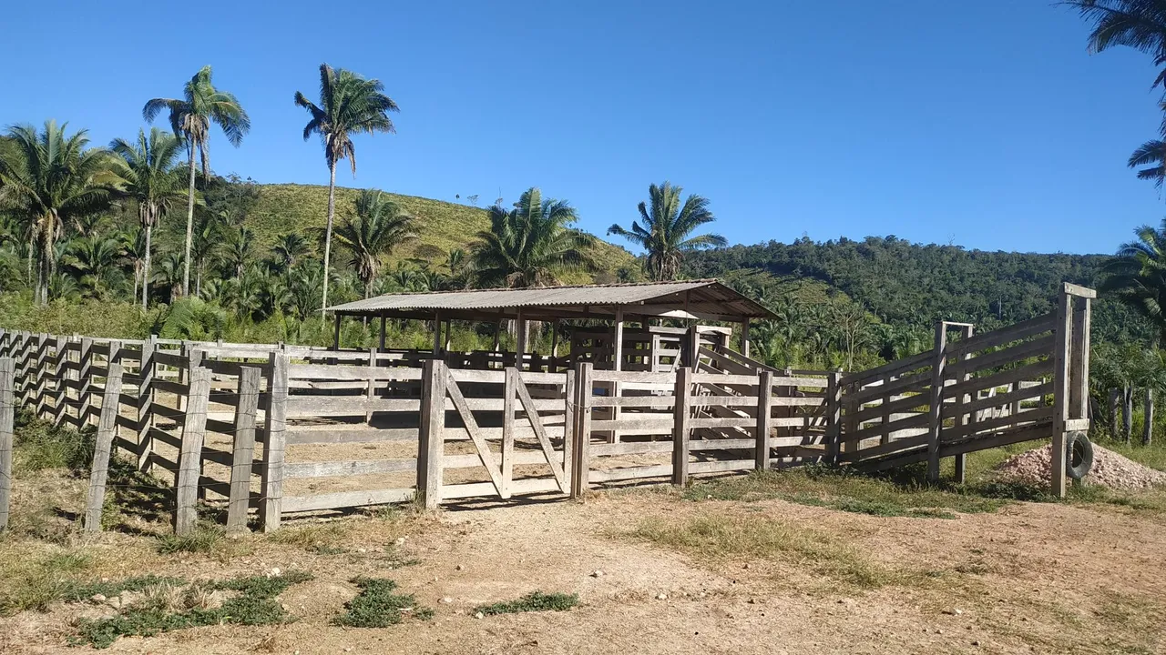 Fazenda Lagoa da Sombra - 25 KM de Itaipava do Grajaú