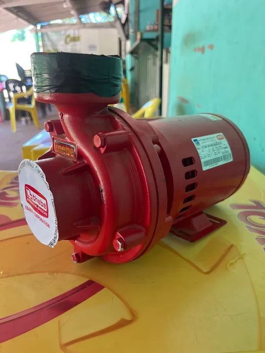 Motor bomba 