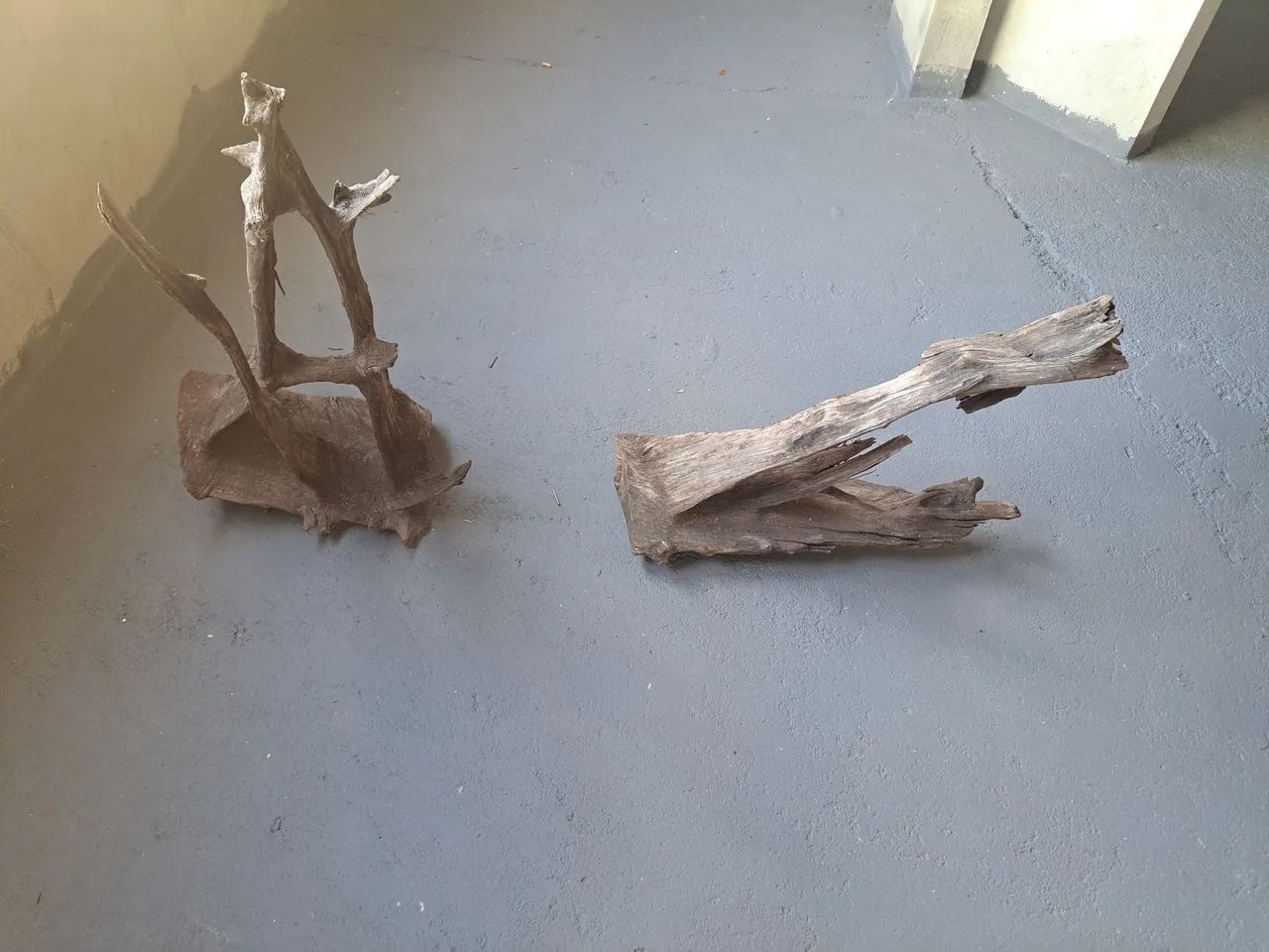 Two large natural driftwood pieces for aquarium, ready for use