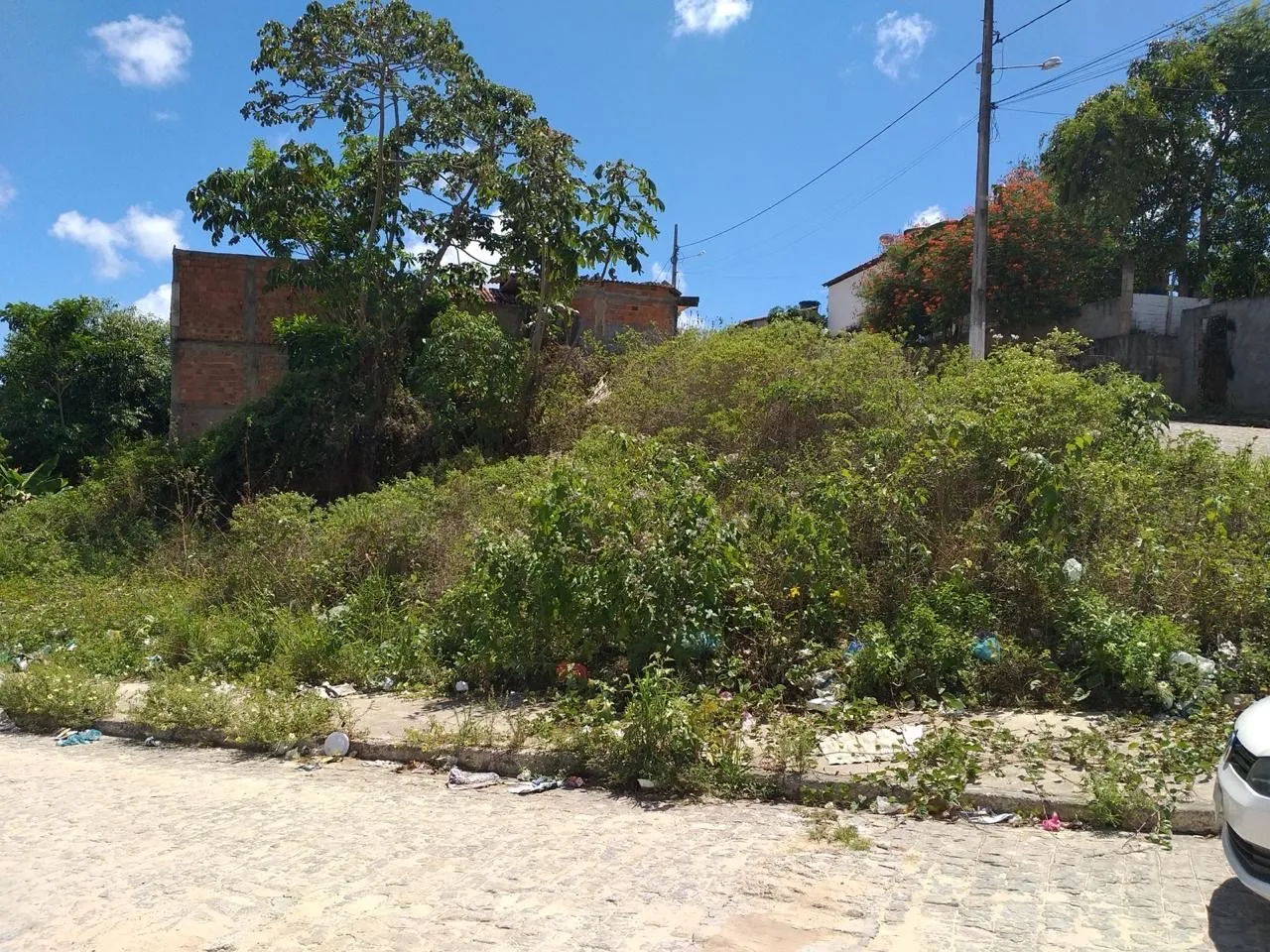 Terreno lamarão