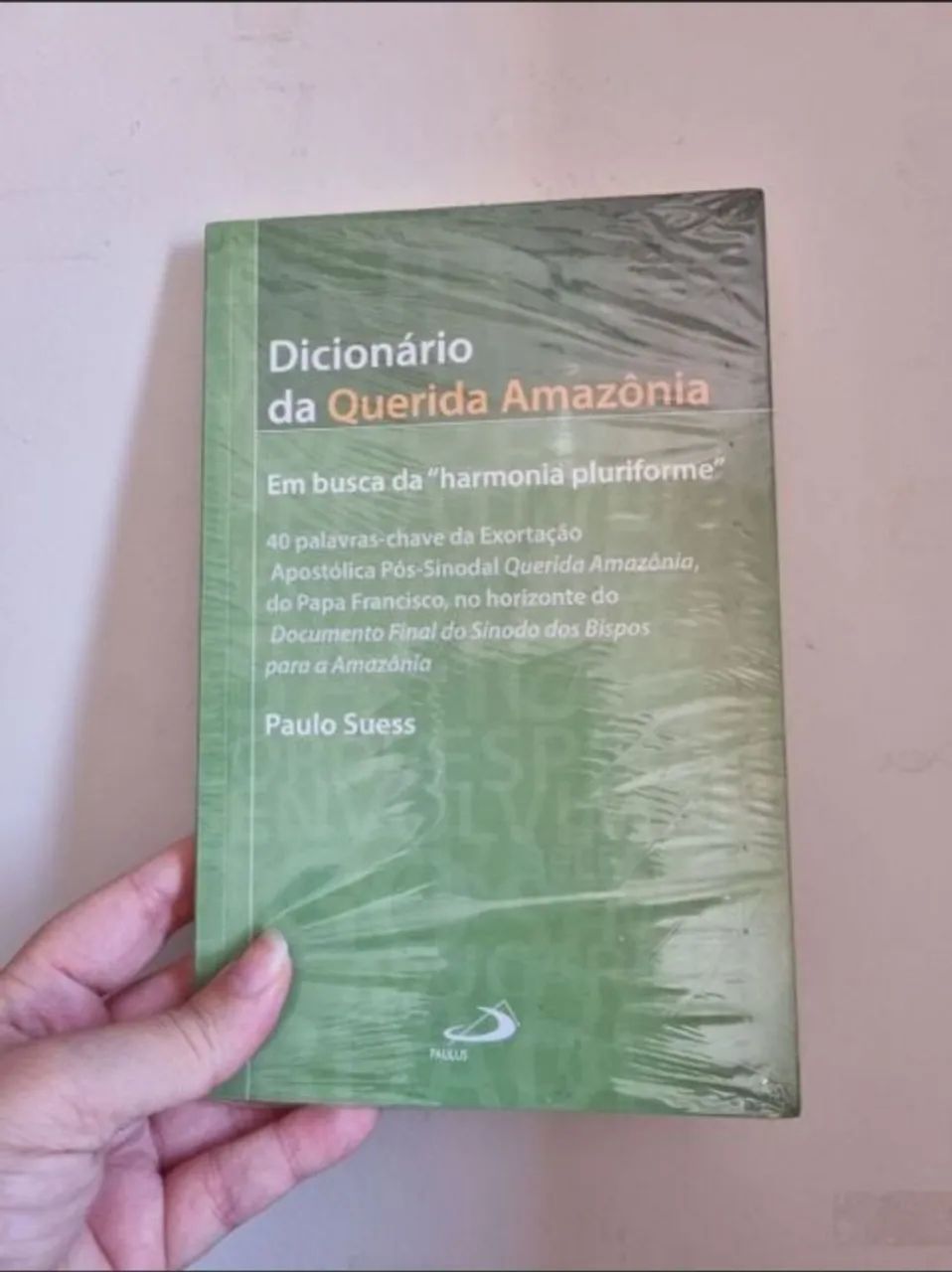 livro dicionário da querida amazônia