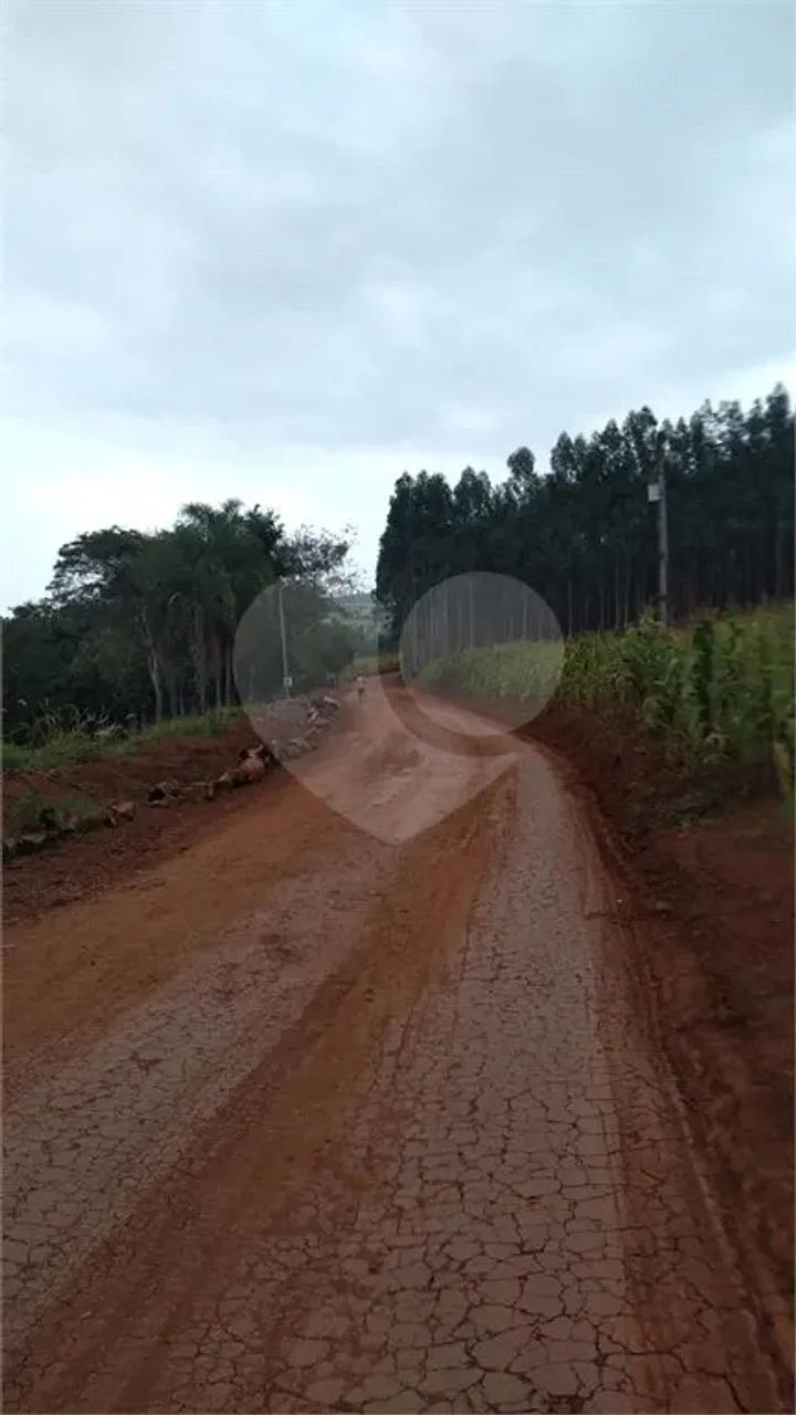 Terreno à venda em Centro - PR - Foto 3