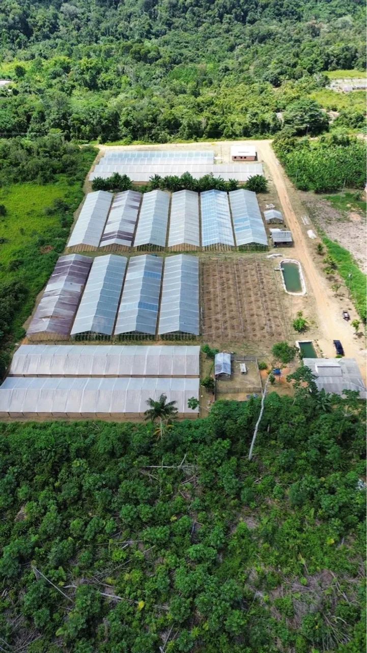 Terreno 100x2000m em Presidente Figueiredo/AM - Foto 2