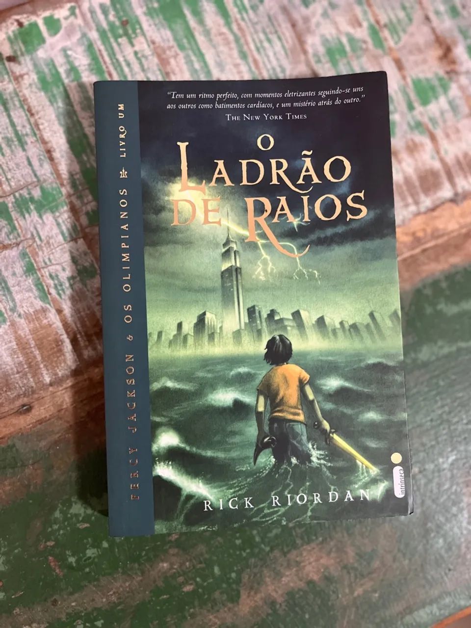 Percy Jackson e o Ladrão de Raios - Livro 1