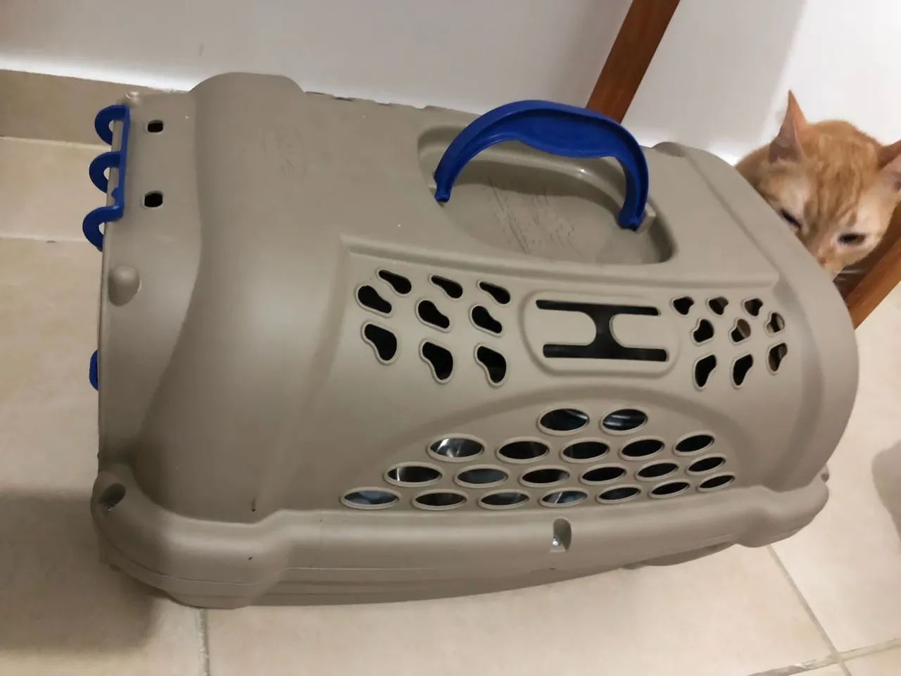 Vendo Caixa de Transporte para Animais de Estimação  - Foto 3