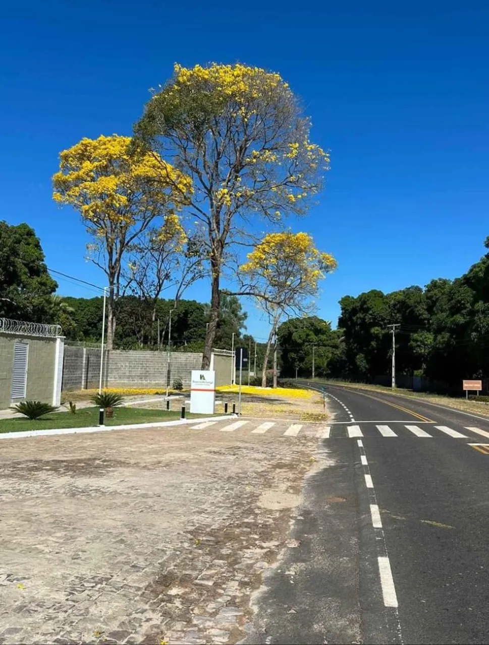 Ágio Lote 750m² Condomínio Reserva do Longa