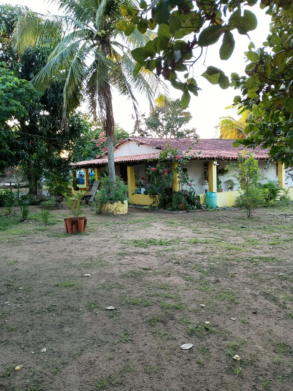 Sítio completo - em São José