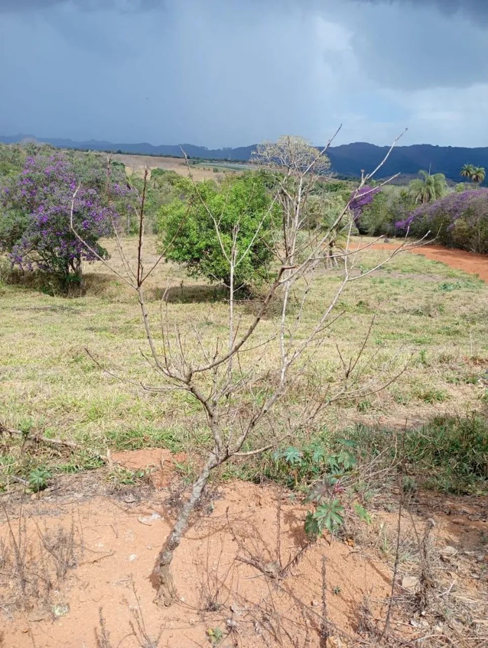 Terreno com água no fundo  - Foto 3