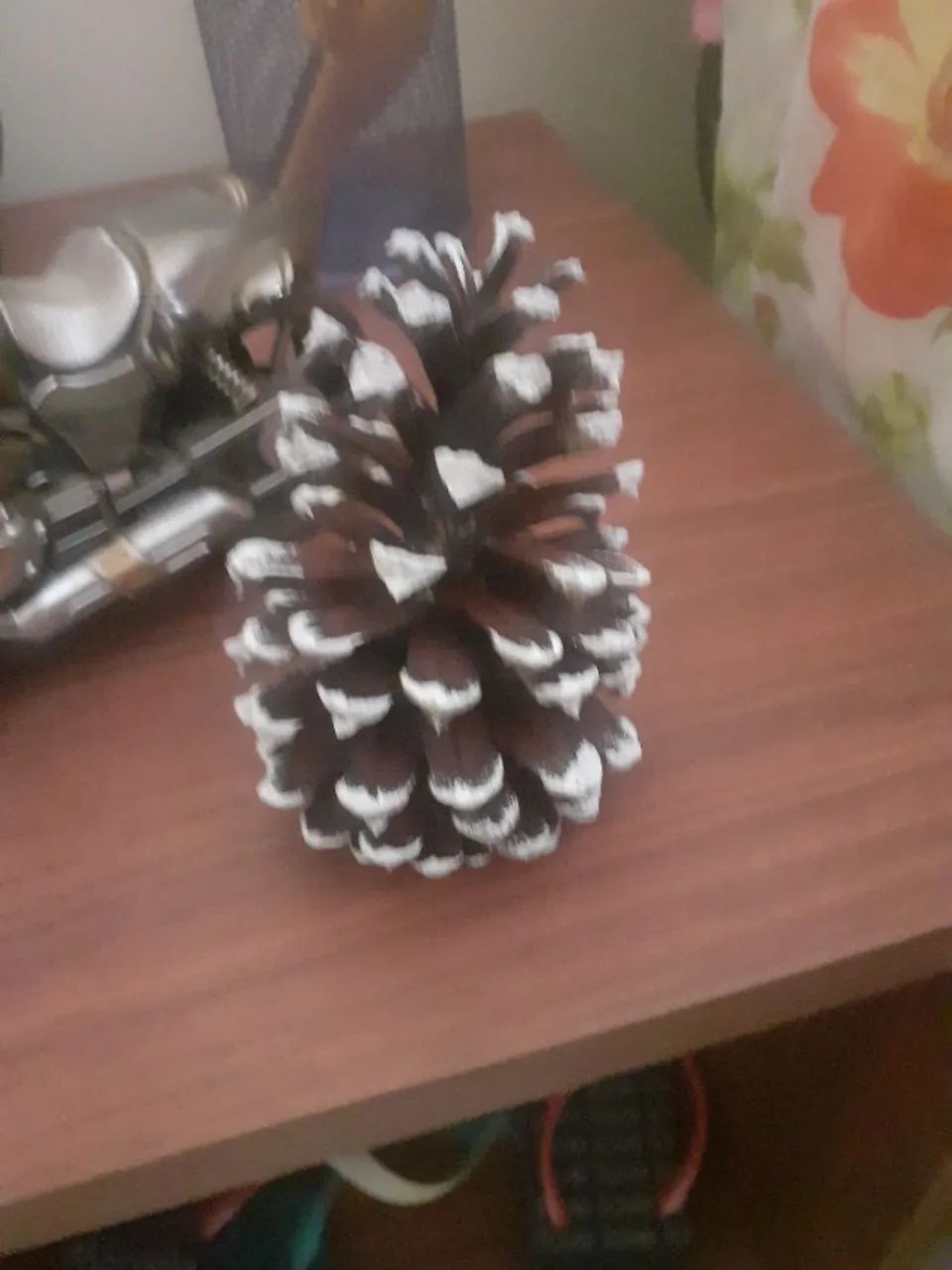 Pinhas de Natal - Foto 3
