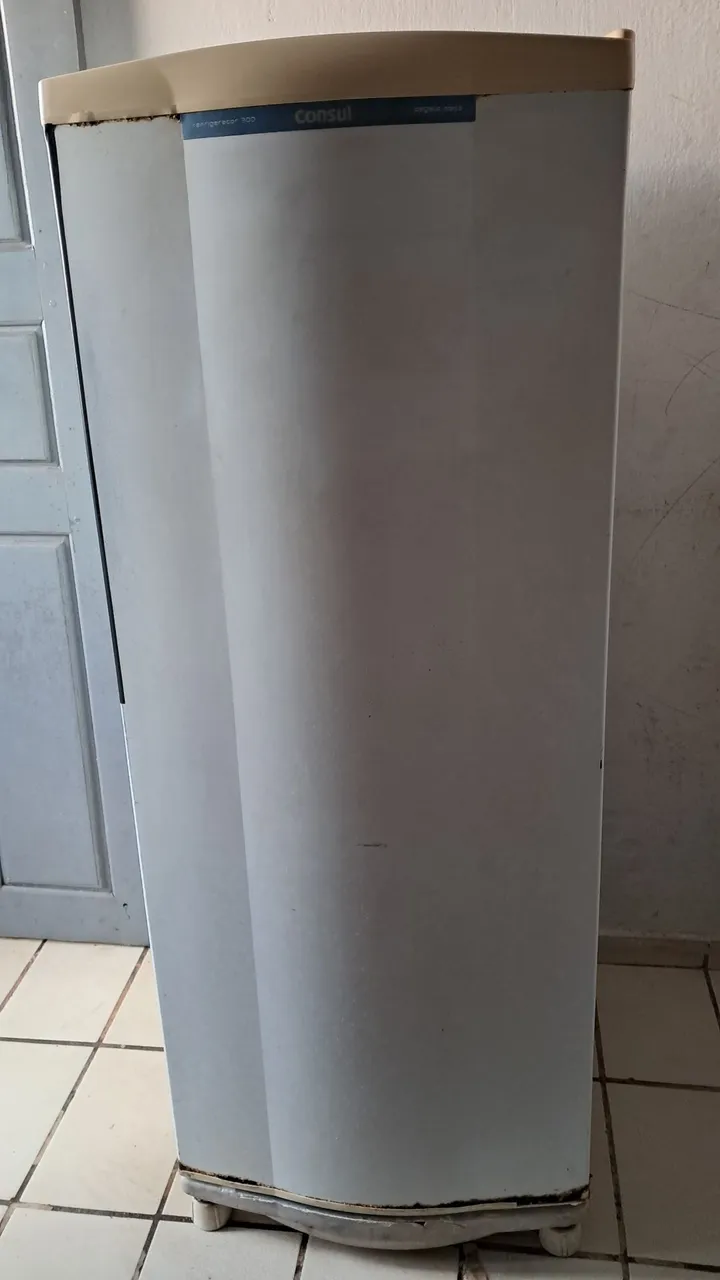 Geladeira Consul Defrost