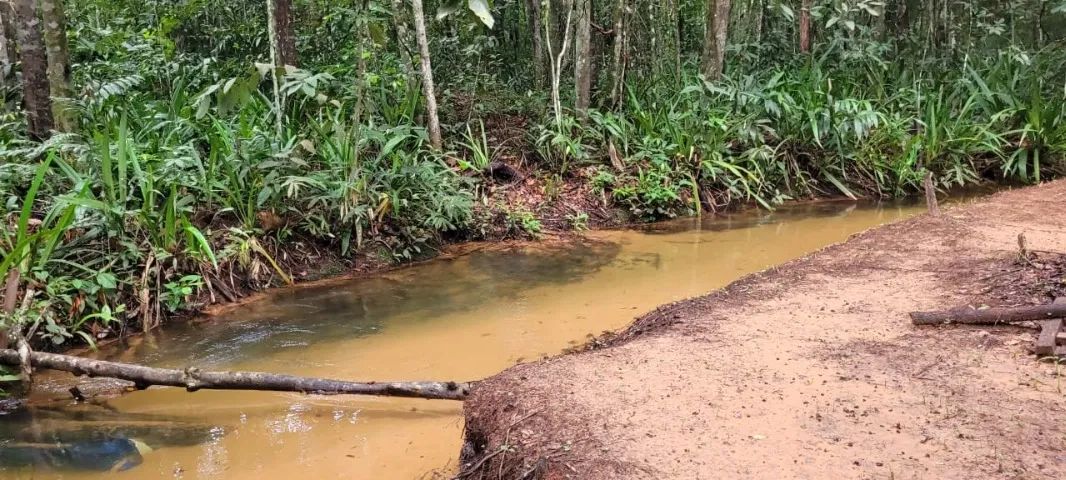 Chácara Estrada do Manso - Foto 4