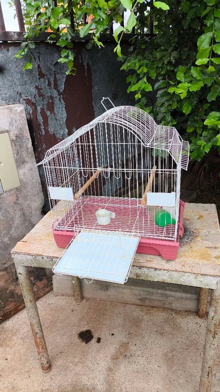 Gaiola para pássaros calopsitas e etc