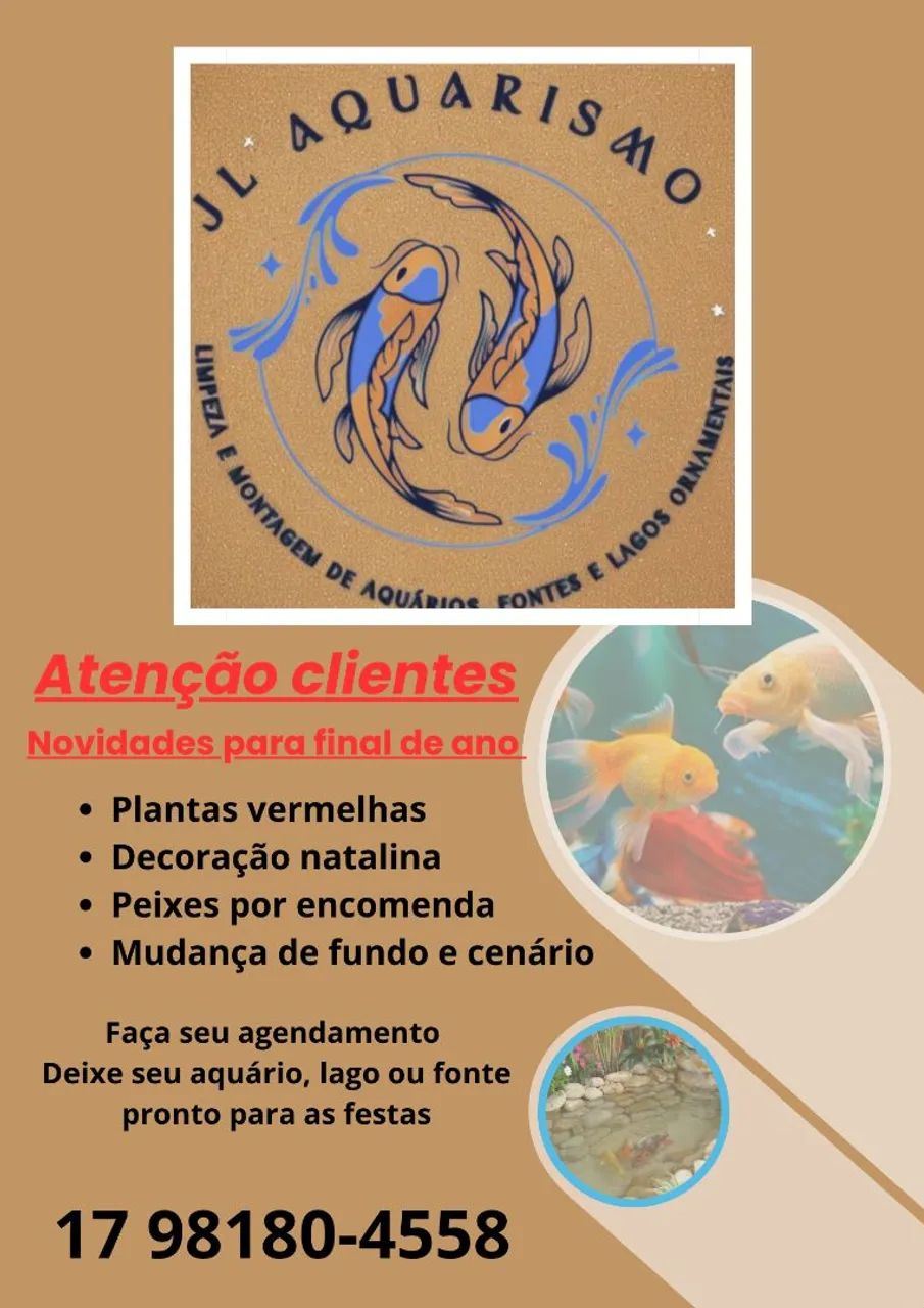 Limpeza de aquários  - Foto 2