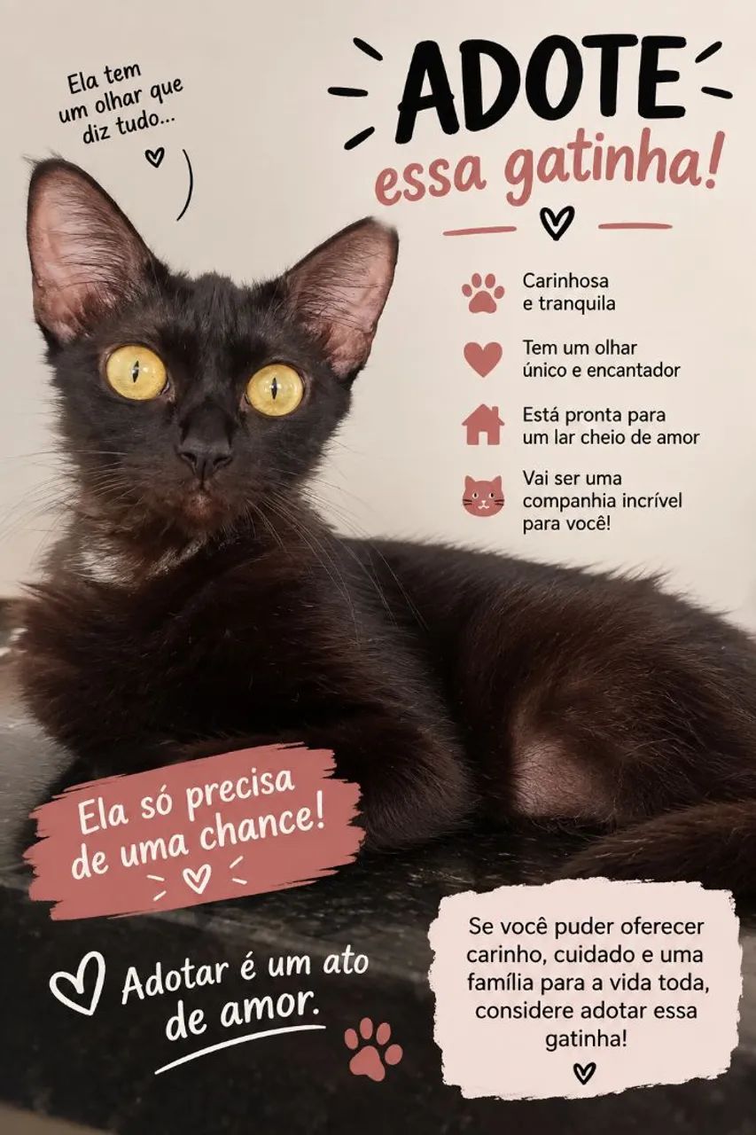 Doação de gatinha 