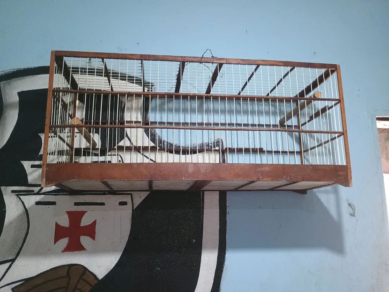 Voador pua larga 
