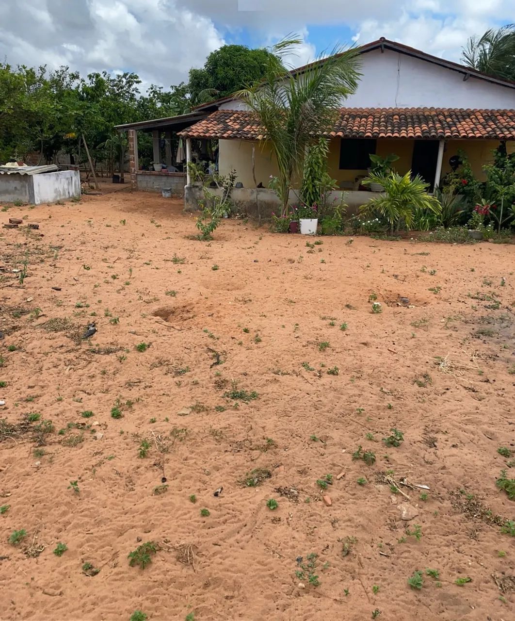 GRANJA EM EXTREMOZ - Foto 3