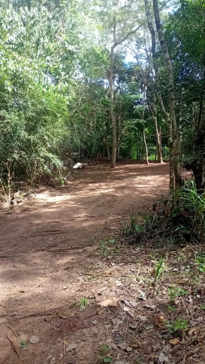 Terreno na beira do Rio Miranda  - Foto 2
