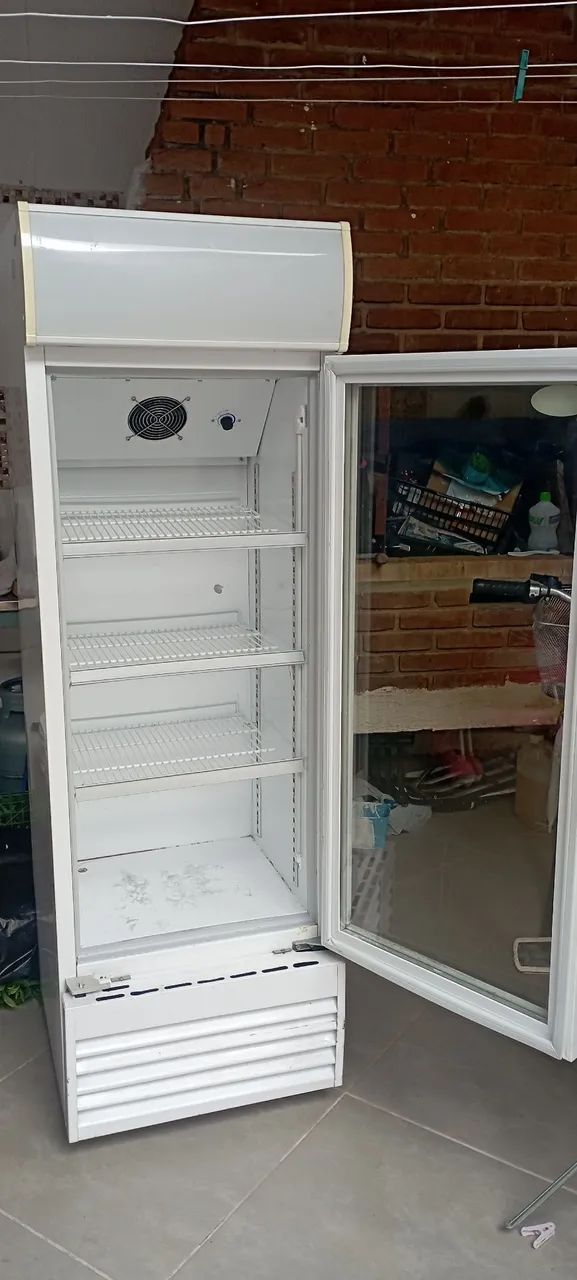 Freezer expositor 110v