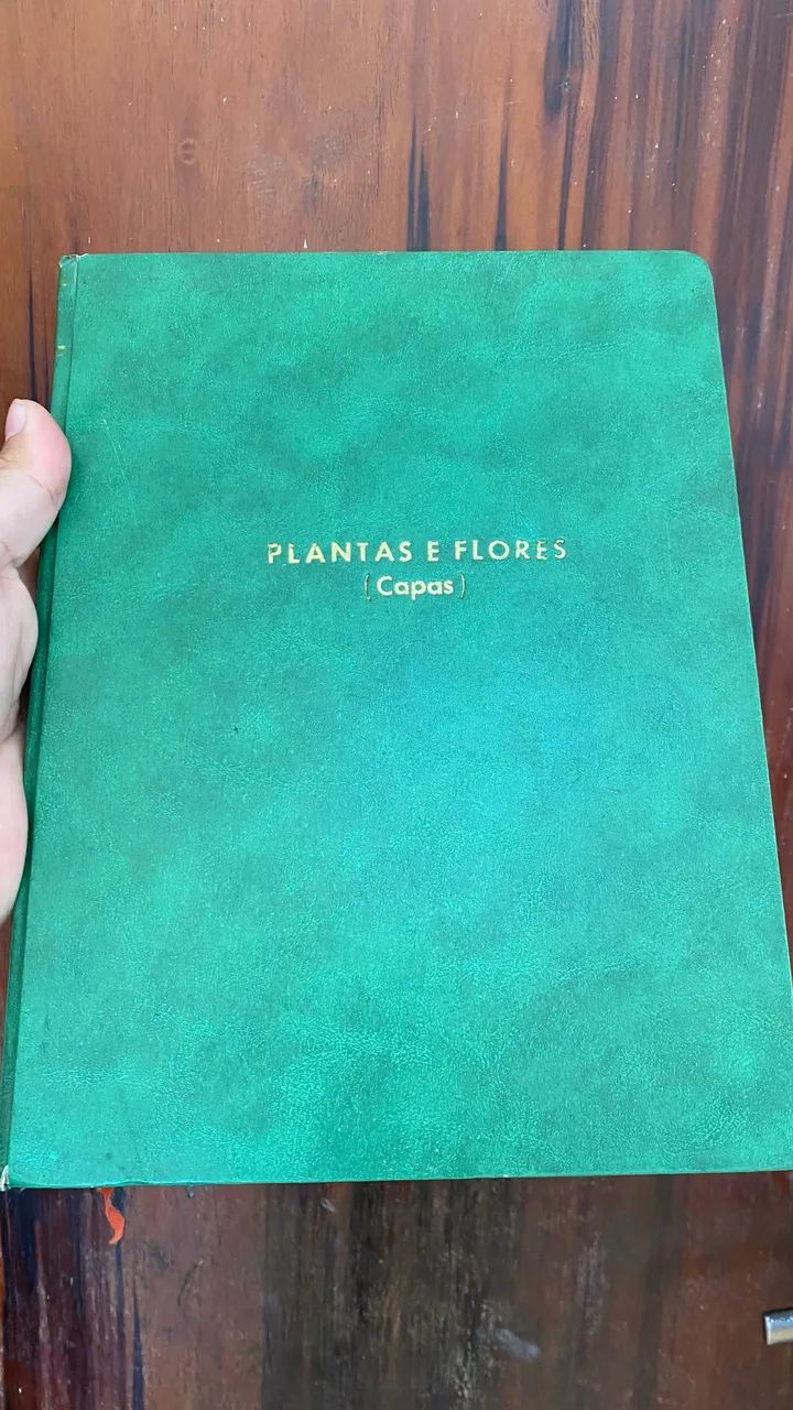 Plantas e flores